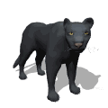 gifanimal19.gif (5766 bytes)