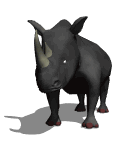 gifanimal21.gif (15871 bytes)
