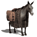 gifanimal24.gif (21191 bytes)