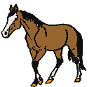 gifanimal25.gif (10095 bytes)
