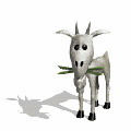 gifanimal26.gif (8178 bytes)