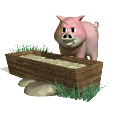 gifanimal28.gif (5598 bytes)