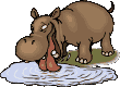 gifanimal34.gif (16219 bytes)