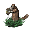 gifanimal35.gif (14935 bytes)