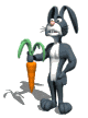 gifanimal36.gif (11465 bytes)
