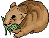 gifanimal37.gif (16068 bytes)