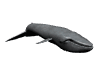 gifanimal43.gif (9570 bytes)