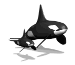 gifanimal46.gif (17037 bytes)