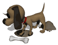 gifanimal50.gif (14300 bytes)