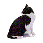 gifanimal52.gif (6801 bytes)