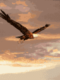 gifau01.gif (11273 bytes)