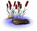 gifau03.gif (10490 bytes)