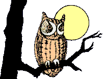 gifau07.gif (9795 bytes)