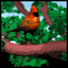 gifau10.gif (15922 bytes)