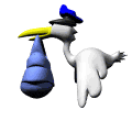 gifau11.gif (13867 bytes)