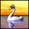 gifau12.gif (16743 bytes)