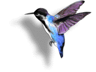 gifau13.gif (13580 bytes)