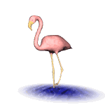 gifau17.gif (12194 bytes)