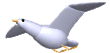 gifau19.gif (15868 bytes)