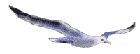 gifau20.gif (15738 bytes)
