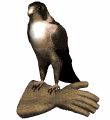 gifau21.gif (9131 bytes)