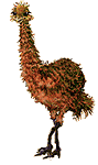 gifau22.gif (27360 bytes)