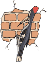 gifau23.gif (11343 bytes)