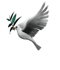 gifau40.gif (18362 bytes)