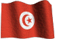 gifbandera100.gif (23100 bytes)