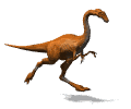 gifdino07.gif (33983 bytes)