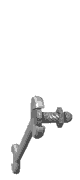 gifeines19.gif (7988 bytes)