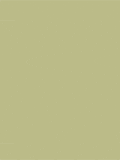 gifesport28.gif (5126 bytes)