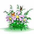 gifflor05.gif (15811 bytes)