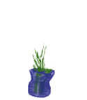 gifflor07.gif (21645 bytes)