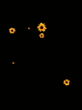 gifflor10.gif (17748 bytes)