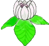 gifflor13.gif (16172 bytes)