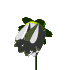 gifflor14.gif (4518 bytes)