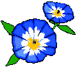 gifflor15.gif (3678 bytes)