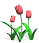 gifflor16.gif (7617 bytes)