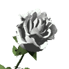 gifflor18.gif (11555 bytes)