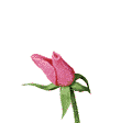 gifflor19.gif (9160 bytes)