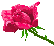 gifflor20.gif (12453 bytes)