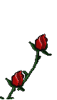 gifflor23.gif (12513 bytes)