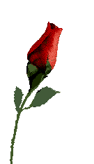 gifflor24.gif (9387 bytes)