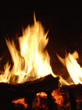 giffoc23.gif (18676 bytes)