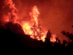 giffoc25.gif (45978 bytes)