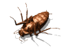 gifinse09.gif (8968 bytes)