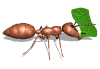 gifinse13.gif (16805 bytes)