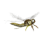 gifinse16.gif (6872 bytes)
