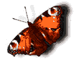 gifinse30.gif (13498 bytes)